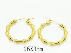 HY Wholesale Earrings 316L Stainless Steel Popular Jewelry Earrings-HY80E0705OD