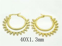 HY Wholesale Earrings 316L Stainless Steel Popular Jewelry Earrings-HY32E0421HKS
