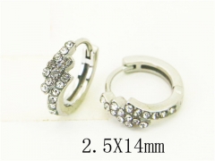HY Wholesale Earrings 316L Stainless Steel Popular Jewelry Earrings-HY31E0157PW