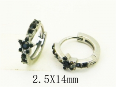 HY Wholesale Earrings 316L Stainless Steel Popular Jewelry Earrings-HY31E0154PE