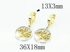 HY Wholesale Earrings 316L Stainless Steel Popular Jewelry Earrings-HY80E0749NL