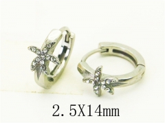 HY Wholesale Earrings 316L Stainless Steel Popular Jewelry Earrings-HY31E0167PW