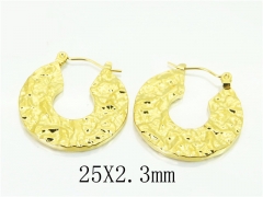 HY Wholesale Earrings 316L Stainless Steel Popular Jewelry Earrings-HY70E1343LG