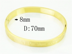 HY Wholesale Bangles Jewelry Stainless Steel 316L Fashion Bangle-HY80B1604HZL