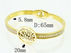 HY Wholesale Bangles Jewelry Stainless Steel 316L Fashion Bangle-HY32B0807HJR