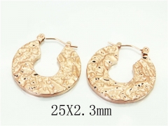 HY Wholesale Earrings 316L Stainless Steel Popular Jewelry Earrings-HY70E1346LC