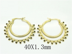 HY Wholesale Earrings 316L Stainless Steel Popular Jewelry Earrings-HY32E0423HKF