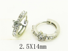 HY Wholesale Earrings 316L Stainless Steel Popular Jewelry Earrings-HY31E0155PW