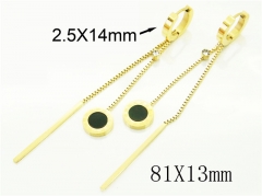HY Wholesale Earrings 316L Stainless Steel Popular Jewelry Earrings-HY24E0070HJF