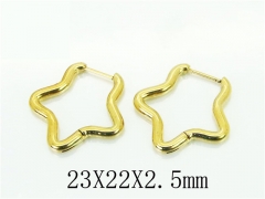 HY Wholesale Earrings 316L Stainless Steel Popular Jewelry Earrings-HY75E0002JN