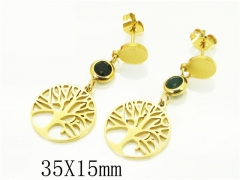 HY Wholesale Earrings 316L Stainless Steel Popular Jewelry Earrings-HY24E0089PLE