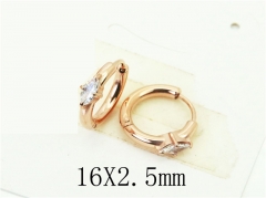 HY Wholesale Earrings 316L Stainless Steel Popular Jewelry Earrings-HY06E0362HJF