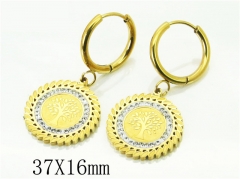 HY Wholesale Earrings 316L Stainless Steel Popular Jewelry Earrings-HY80E0728NLS