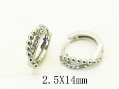 HY Wholesale Earrings 316L Stainless Steel Popular Jewelry Earrings-HY31E0161PZ