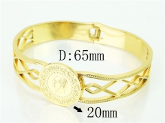 HY Wholesale Bangles Jewelry Stainless Steel 316L Fashion Bangle-HY32B0807HID