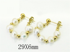 HY Wholesale Earrings 316L Stainless Steel Popular Jewelry Earrings-HY32E0406HNQ