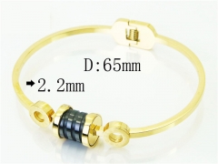 HY Wholesale Bangles Jewelry Stainless Steel 316L Fashion Bangle-HY09B1231HLR