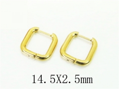HY Wholesale Earrings 316L Stainless Steel Popular Jewelry Earrings-HY75E0032JLS