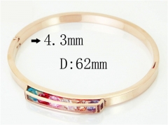 HY Wholesale Bangles Jewelry Stainless Steel 316L Fashion Bangle-HY09B1252HLE