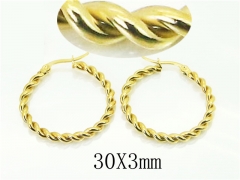 HY Wholesale Earrings 316L Stainless Steel Popular Jewelry Earrings-HY12E0310JL
