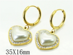 HY Wholesale Earrings 316L Stainless Steel Popular Jewelry Earrings-HY80E0730NQ