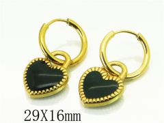 HY Wholesale Earrings 316L Stainless Steel Popular Jewelry Earrings-HY80E0731MLS
