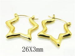 HY Wholesale Earrings 316L Stainless Steel Popular Jewelry Earrings-HY80E0701OW