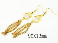 HY Wholesale Earrings 316L Stainless Steel Earrings-HY60E1047KLQ