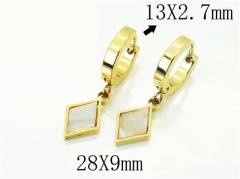 HY Wholesale Earrings 316L Stainless Steel Popular Jewelry Earrings-HY60E1348JLC