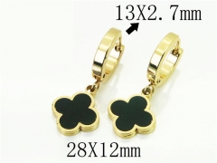 HY Wholesale Earrings 316L Stainless Steel Popular Jewelry Earrings-HY60E1396JLZ