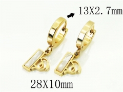HY Wholesale Earrings 316L Stainless Steel Popular Jewelry Earrings-HY60E1384JLE