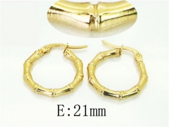 HY Wholesale Earrings 316L Stainless Steel Popular Jewelry Earrings-HY60E1499JD