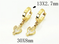 HY Wholesale Earrings 316L Stainless Steel Popular Jewelry Earrings-HY60E1356JLA