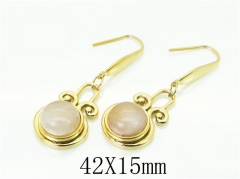 HY Wholesale Earrings 316L Stainless Steel Popular Jewelry Earrings-HY92E0112HIF
