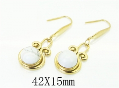 HY Wholesale Earrings 316L Stainless Steel Popular Jewelry Earrings-HY92E0111HIF