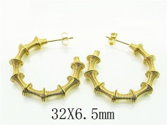 HY Wholesale Earrings 316L Stainless Steel Popular Jewelry Earrings-HY09E0100PL