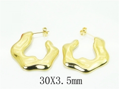 HY Wholesale Earrings 316L Stainless Steel Popular Jewelry Earrings-HY16E0097OQ