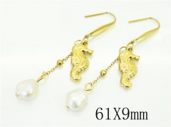HY Wholesale Earrings 316L Stainless Steel Popular Jewelry Earrings-HY92E0145HID