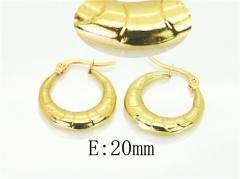 HY Wholesale Earrings 316L Stainless Steel Popular Jewelry Earrings-HY60E1491JQ