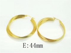 HY Wholesale Earrings 316L Stainless Steel Popular Jewelry Earrings-HY60E1477JLD