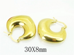 HY Wholesale Earrings 316L Stainless Steel Popular Jewelry Earrings-HY32E0437HID