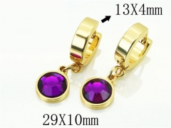 HY Wholesale Earrings 316L Stainless Steel Popular Jewelry Earrings-HY60E1408JLT