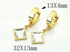 HY Wholesale Earrings 316L Stainless Steel Popular Jewelry Earrings-HY60E1411JLX