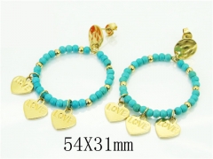 HY Wholesale Earrings 316L Stainless Steel Popular Jewelry Earrings-HY92E0126HIE