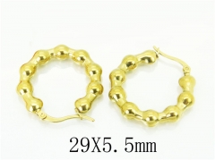 HY Wholesale Earrings 316L Stainless Steel Popular Jewelry Earrings-HY32E0439HHL