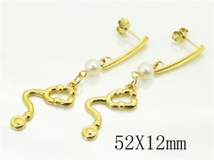 HY Wholesale Earrings 316L Stainless Steel Popular Jewelry Earrings-HY92E0122HVV