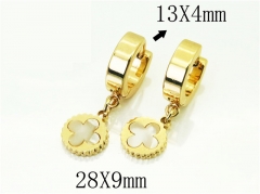 HY Wholesale Earrings 316L Stainless Steel Popular Jewelry Earrings-HY60E1366JLZ
