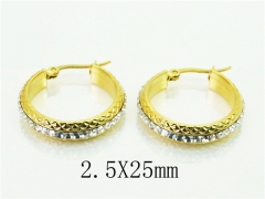 HY Wholesale Earrings 316L Stainless Steel Popular Jewelry Earrings-HY80E0767PL
