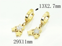 HY Wholesale Earrings 316L Stainless Steel Popular Jewelry Earrings-HY60E1372JLR