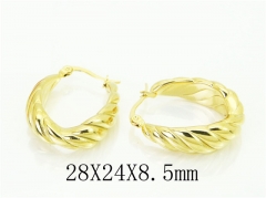 HY Wholesale Earrings 316L Stainless Steel Popular Jewelry Earrings-HY16E0189OV